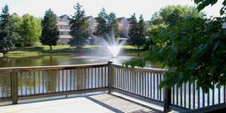 Lakeside Village Gallery 5