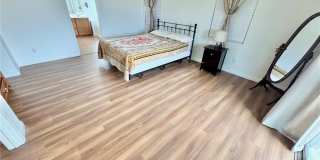 11917 Arenoso Drive Gallery 20
