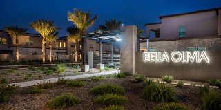 Bella Olivia Gallery 19