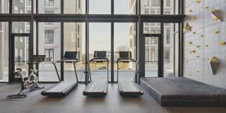 The Luxe Gallery 3