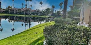 55504 Firestone Gallery 18