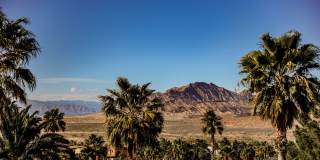 Guard Gated, Community Pool, Club House and Golf , Come and See Text or Call 201-645-5143 for showings Gallery 52