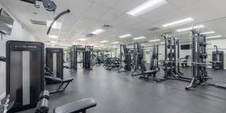 The Luxe at Boca Gallery 6