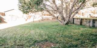 SMALL DOG FRIENDLY!!!  Meadow Street House Gallery 38