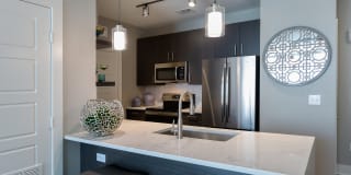 AMLI South Shore Gallery 17