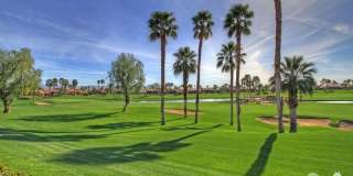 48594 Vista Palomino Gallery 64