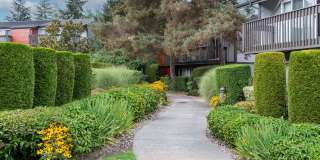 Alder Bellevue Gallery 24