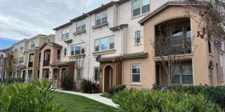 San Jose Comfort, Convenience and Location Gallery 1