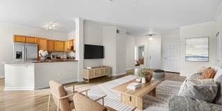 Briargate on Main Gallery 16