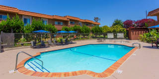 Volterra at La Mesa Gallery 1