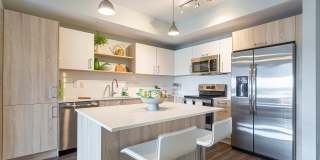 Motion at Dadeland Gallery 60