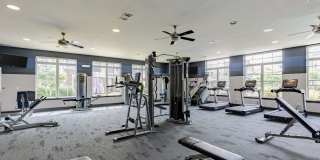 Alinium at Zionsville Gallery 19