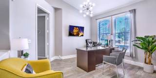 Summer Winds Gallery 9