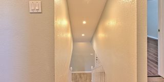 South Tampa single family Gallery 42