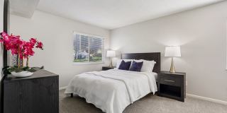 Fox Chase South Gallery 10