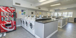 Allandale Falls Gallery 8