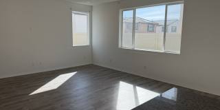 36594 Camino Springs Avenue Gallery 7