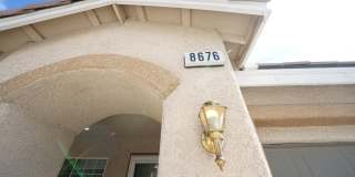 SHOWINGS AVAILABLE NOW Gallery 4