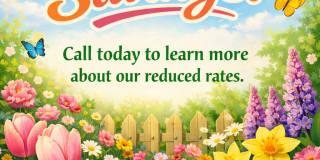 Harbor Walk Gallery 71