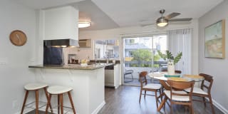 Violet on Virgil Violet on Virgil Gallery 26