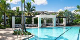 Town Treeline Gallery 9