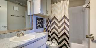 Canyon Grove Gallery 6