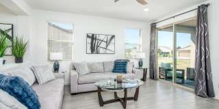 20580 N CONFETTI Court Gallery 22