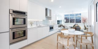 The Duchess Gallery 42