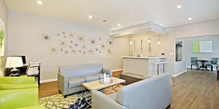 544 Southern Gallery 17