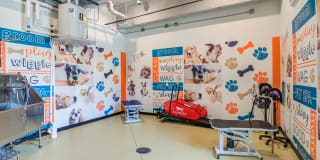 5 Points Northshore Gallery 25