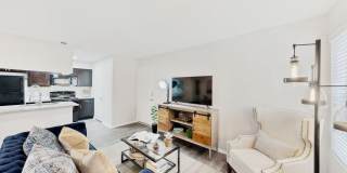 Altamonte Gallery 15