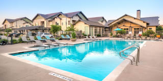 Olympus Waterford Gallery 28