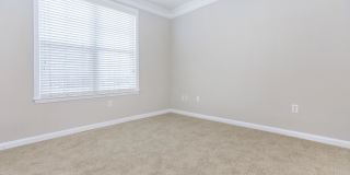 Emerson at Cherry Lane Gallery 25