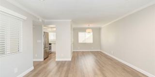 29135 Via Cerrito Gallery 9