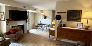 3551 Timberline Trail Gallery 6