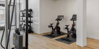 The Hallon Gallery 100