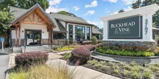 Buckhead and Vine Gallery 1