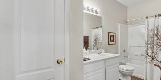 Carrington Park at Lake Lanier Gallery 26