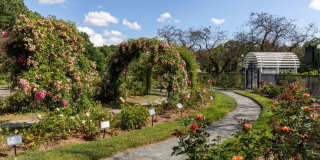 J VUE at the LMA Gallery 82