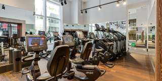 19 Dutch 19 Dutch Gallery 26