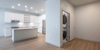 The Basin Gallery 33