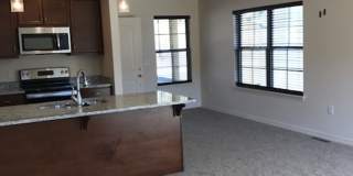 3 Bedroom 2 Bath 2 Car Garage For Rent in Branson MO Gallery 1