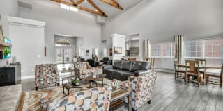 Renaissance Gallery 6