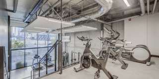 The Morton Gallery 3