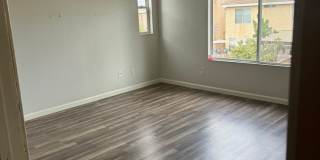 San Ysdrio, Coral Gate neighborhood House for Rent Gallery 17