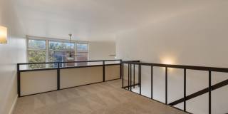 Marlene Renee Gallery 12