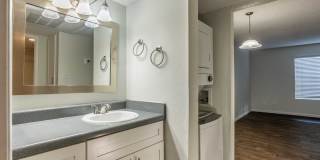 Rise on Cactus Gallery 60