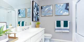 The Dorchester Apartments Gallery 3