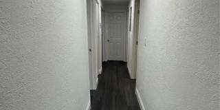 Charming 3BR House in Tampa Gallery 9