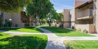 5525 East Thomas Road Gallery 14